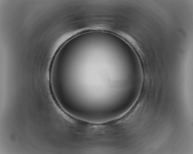 X0000113221335200909101142