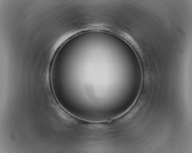 X0000113221336200909101142