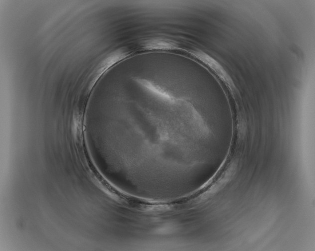 X0000113221337200909101142