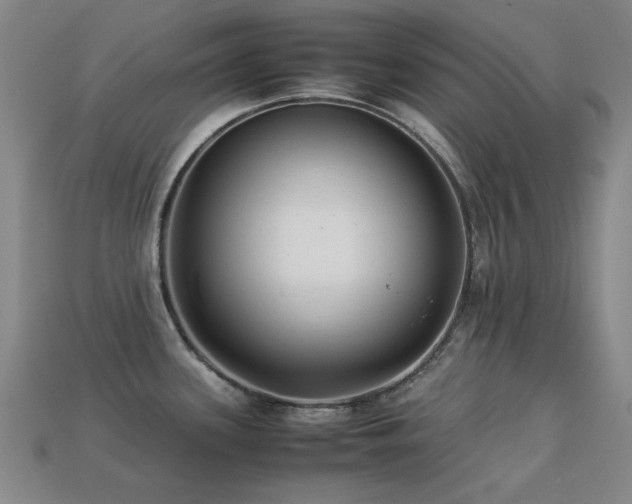 X0000113221339200909101142