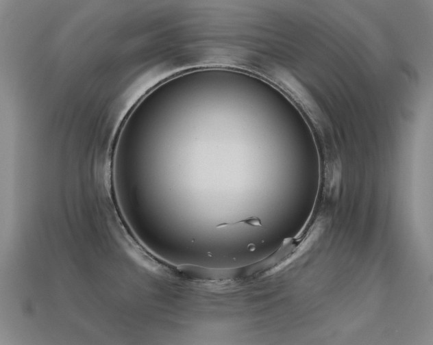 X0000113221340200909101142