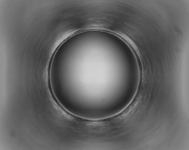 X0000113221341200909101142