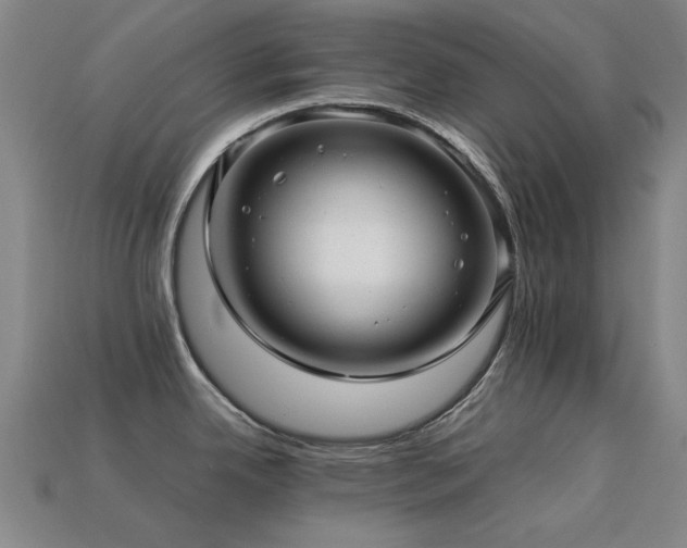 X0000113221342200909101142