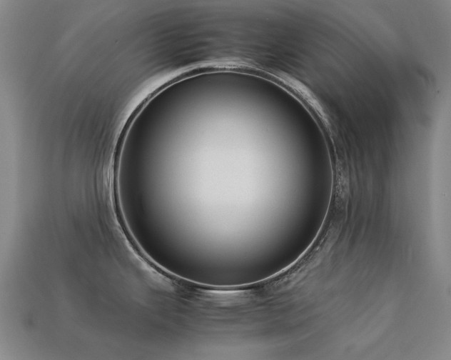 X0000113221343200909101142