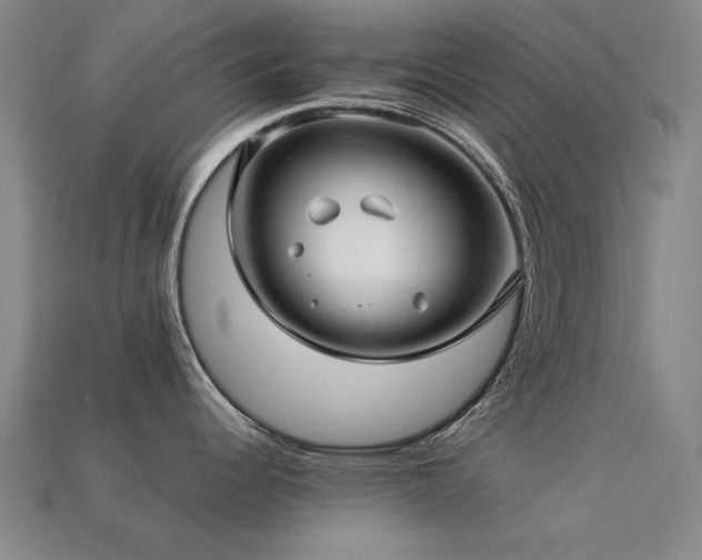 X0000113221344200909101142