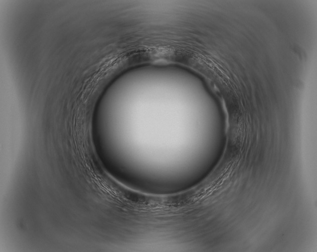 X0000113221345200909101142