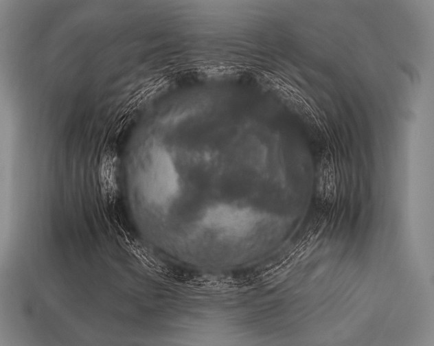 X0000113221346200909101142