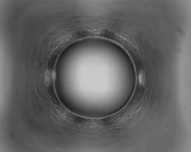 X0000113221347200909101142
