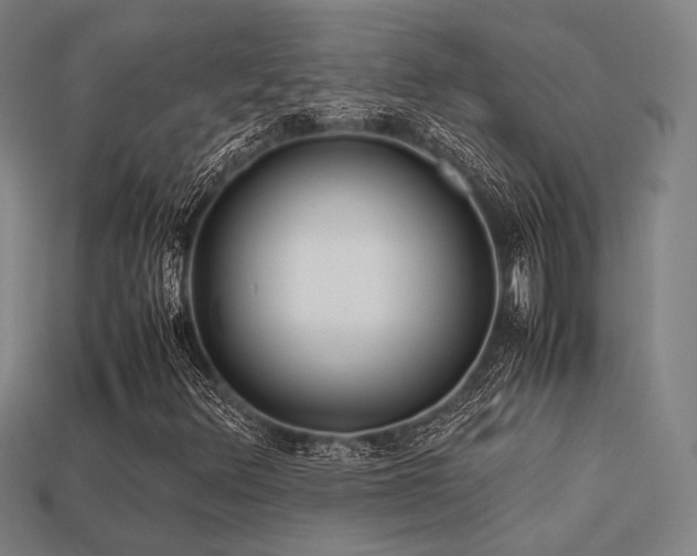 X0000113221348200909101142