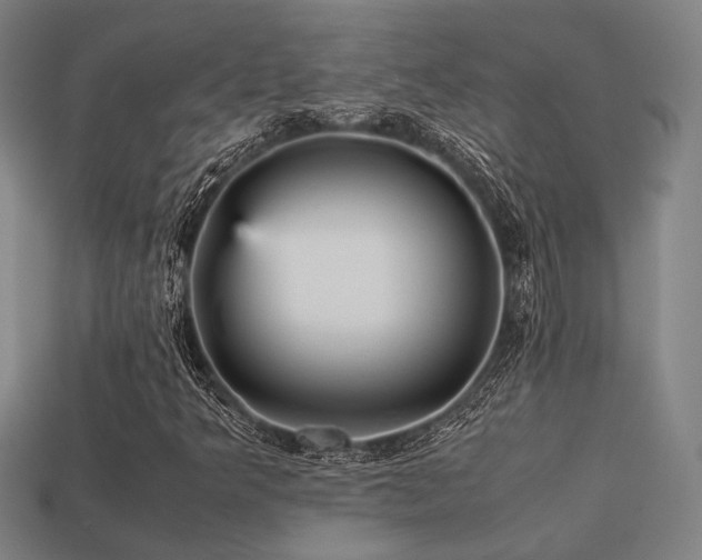 X0000113221349200909101142