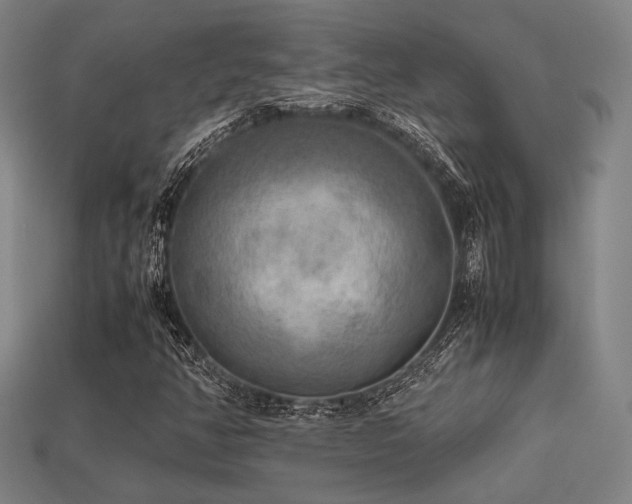 X0000113221350200909101142