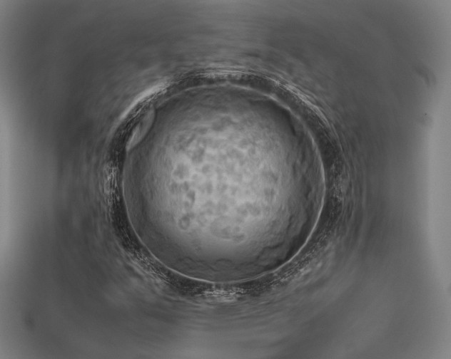 X0000113221351200909101142
