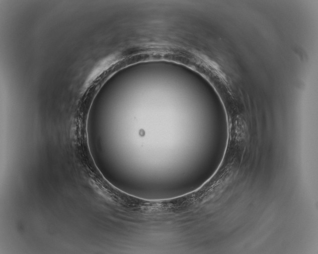 X0000113221352200909101142