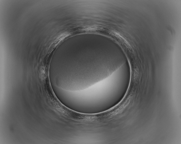 X0000113221353200909101142