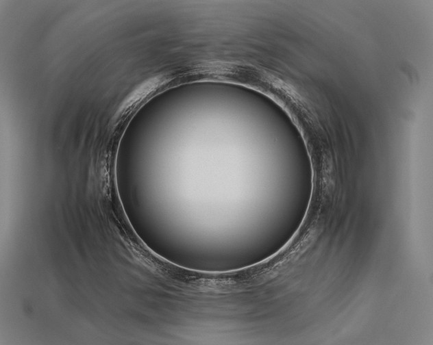 X0000113221354200909101142