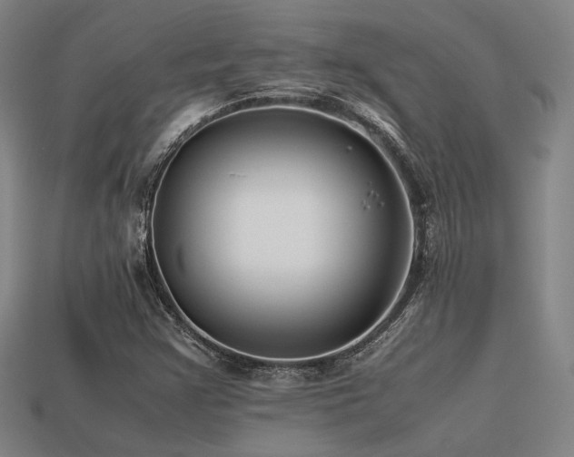 X0000113221355200909101141