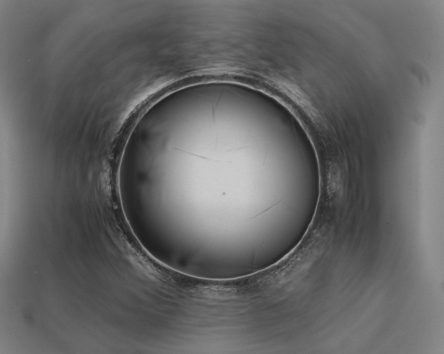 X0000113221356200909101141