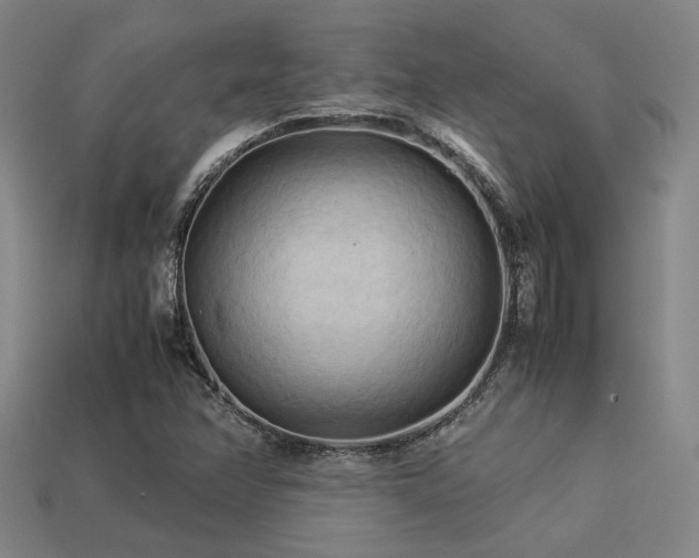 X0000113221358200909101141