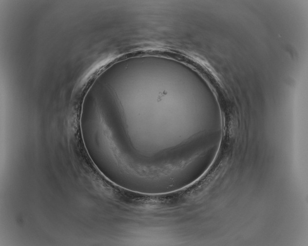 X0000113221359200909101141