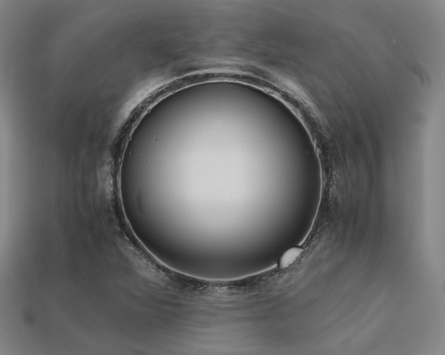 X0000113221360200909101141