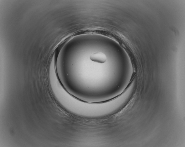 X0000113221361200909101141