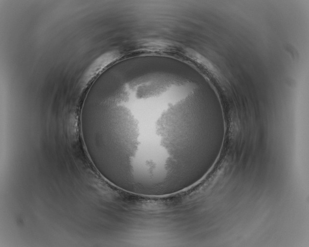 X0000113221362200909101141