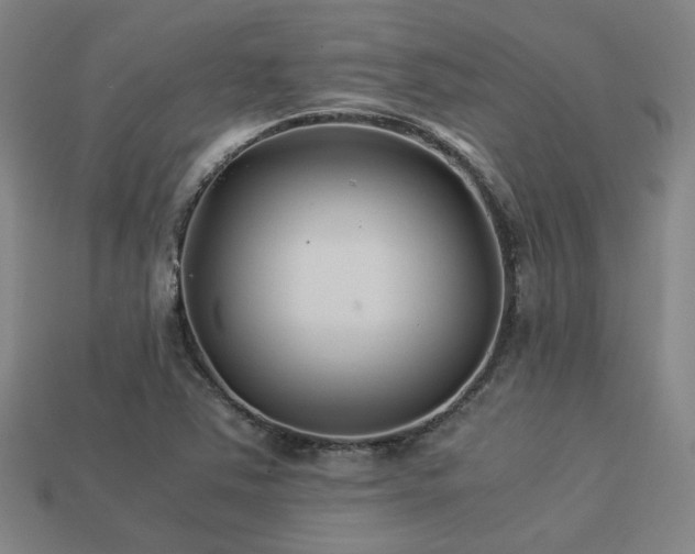 X0000113221363200909101141