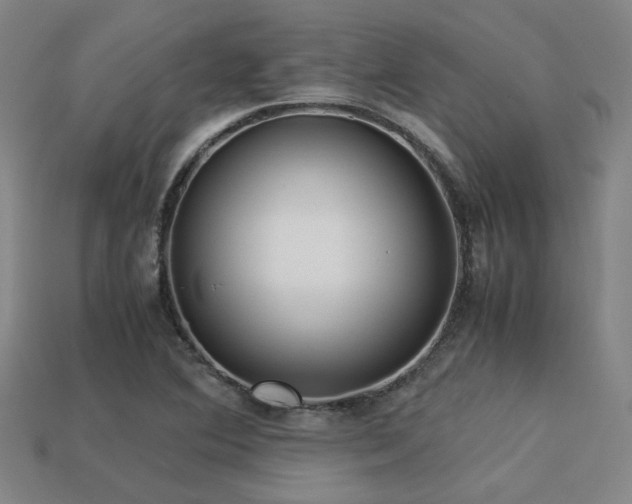 X0000113221364200909101141