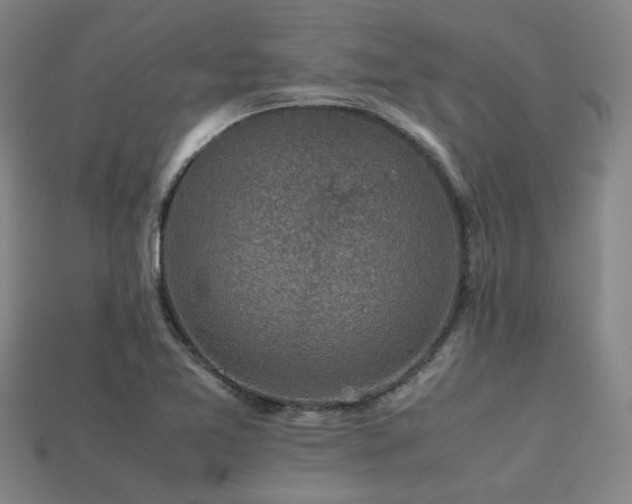 X0000113221365200909101141