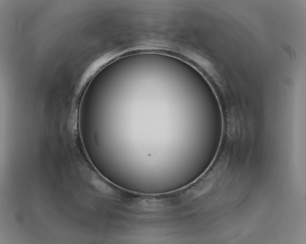 X0000113221366200909101141