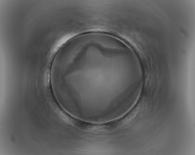 X0000113221367200909101141