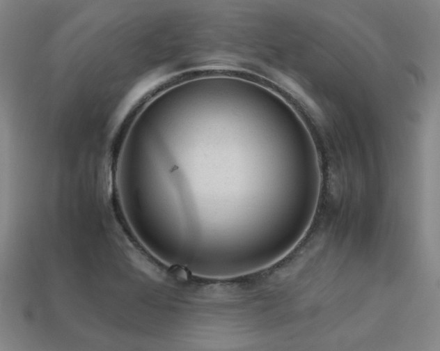 X0000113221368200909101141