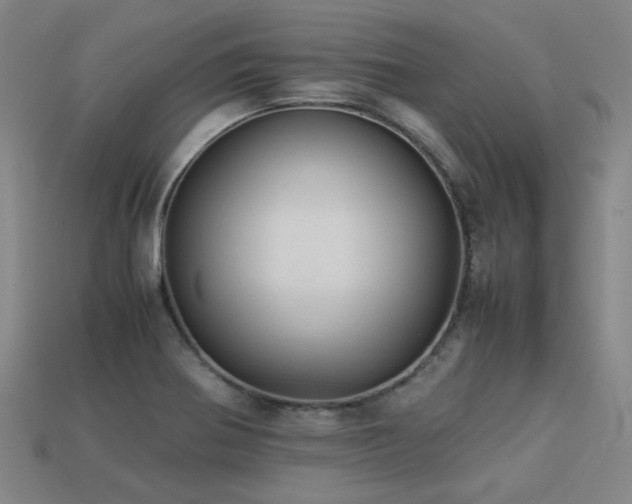 X0000113221370200909101141