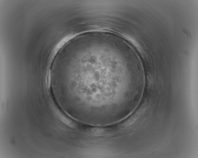X0000113221371200909101141