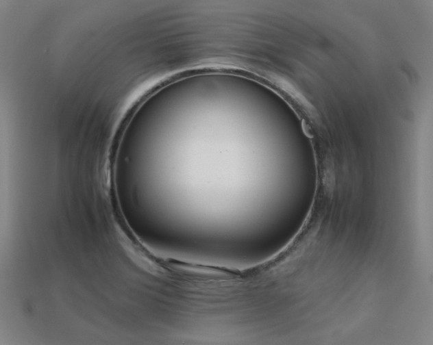 X0000113221372200909101141