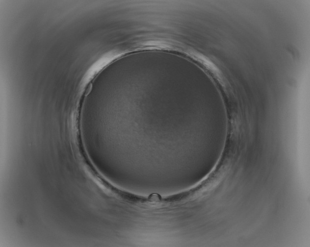 X0000113221373200909101141