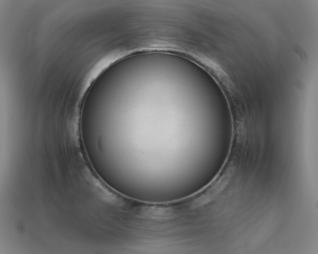 X0000113221374200909101141