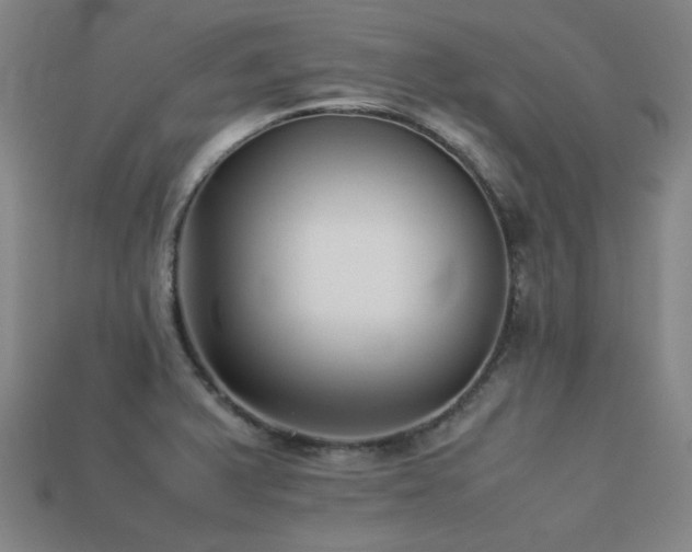 X0000113221375200909101141