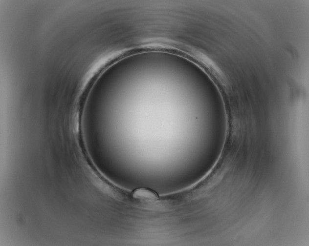 X0000113221376200909101141
