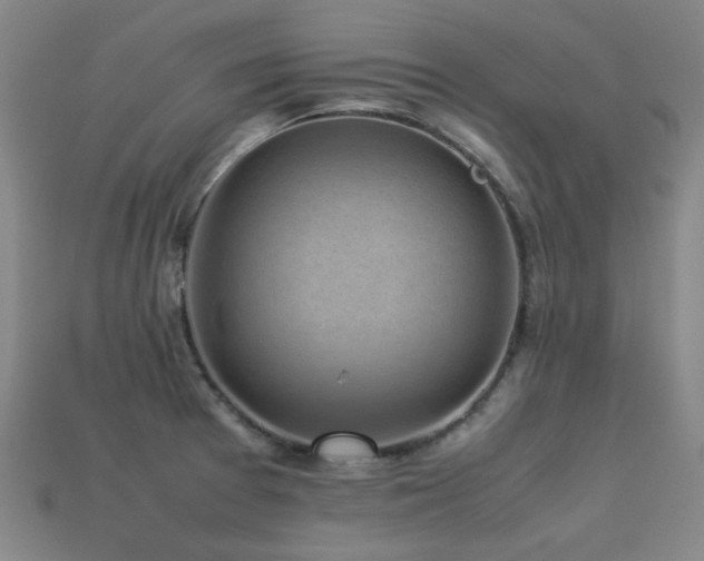 X0000113221377200909101141