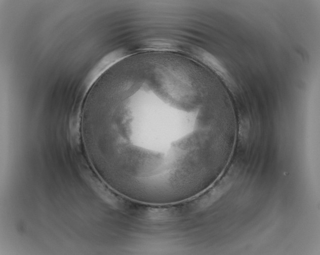 X0000113221378200909101141