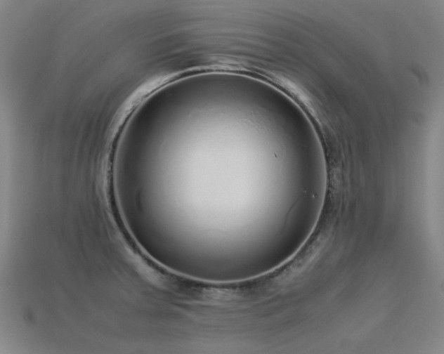 X0000113221379200909101141