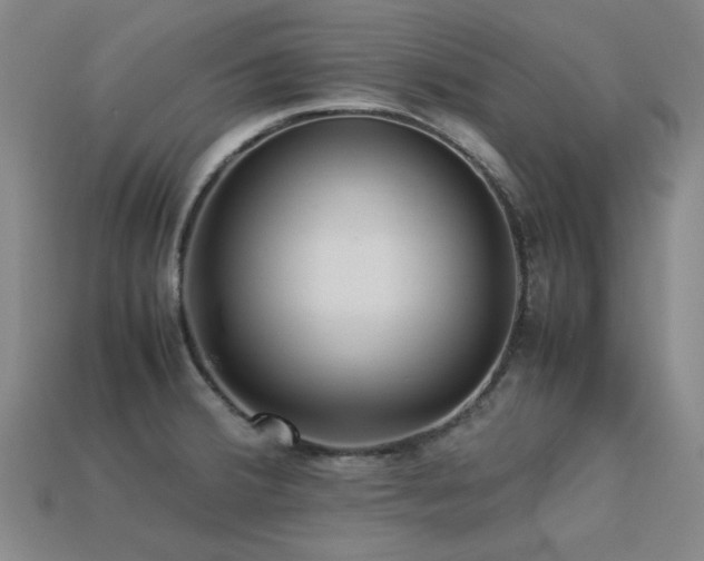 X0000113221380200909101141