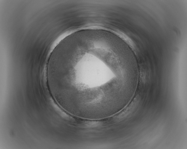 X0000113221382200909101141
