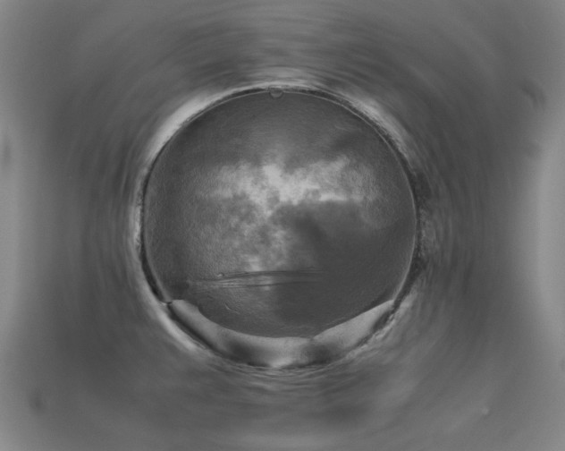 X0000113221383200909101141