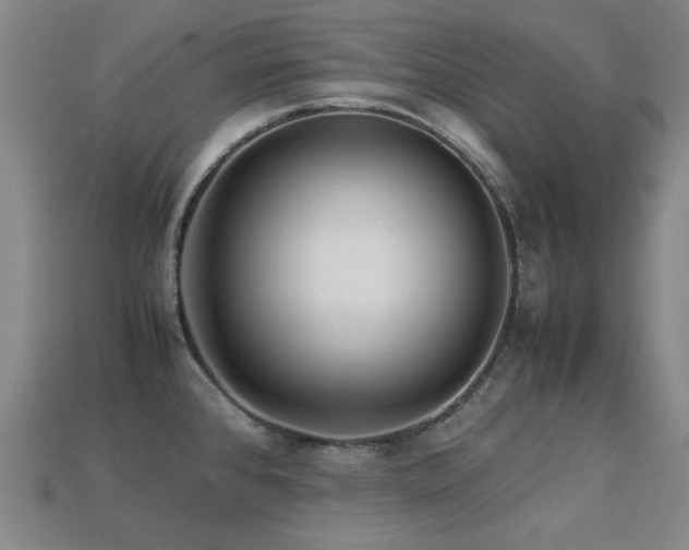X0000113221384200909101141