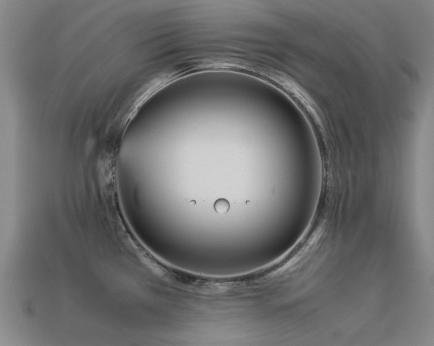 X0000113221385200909101141
