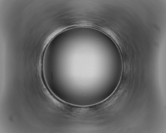 X0000113221387200909101141