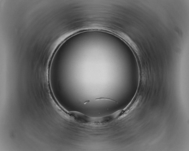 X0000113221388200909101141