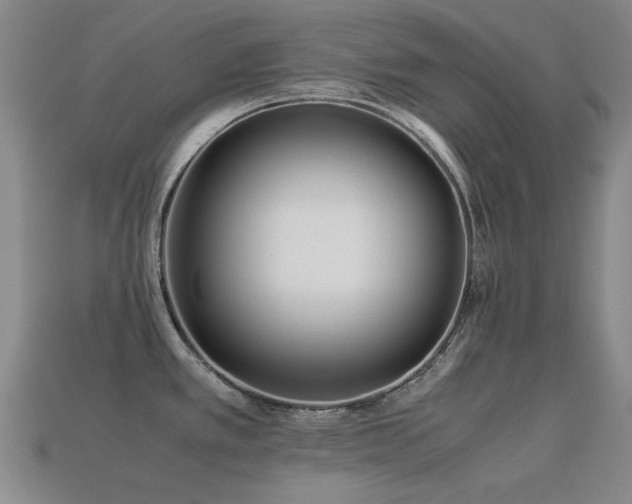 X0000113221389200909101141